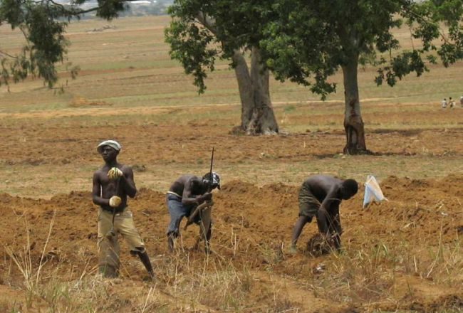 ICRC: Nigeria’s food prices spike because of pandemic