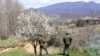 FILE - Georgian border guards patrol a border with Georgia's breakaway region of South Ossetia, near the village of Khurvaleti, Georgia, April 8, 2017.