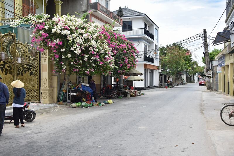 White and pink flowers cascade off a balcony next to golden gates in the left side of the frame as a wide road stretches into the distance on the right. Large houses line both sides of the road.